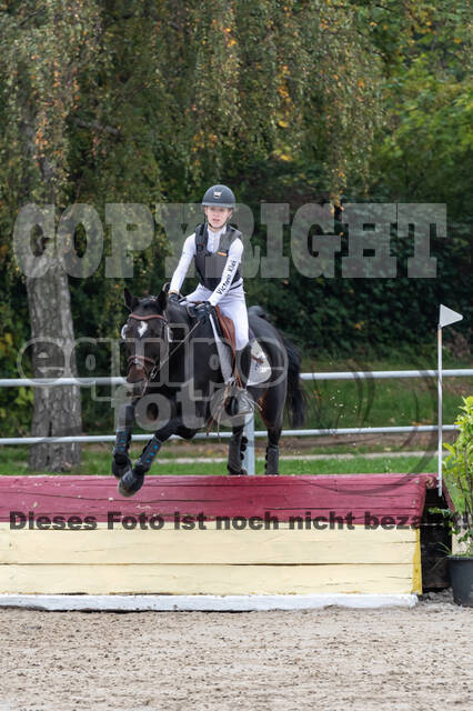 Goldene Schärpe 2020 - Pferde