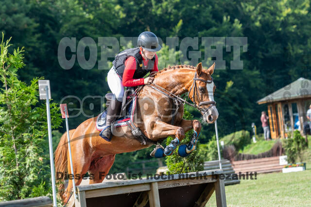 Goldene Schärpe 2021 - Ponys
