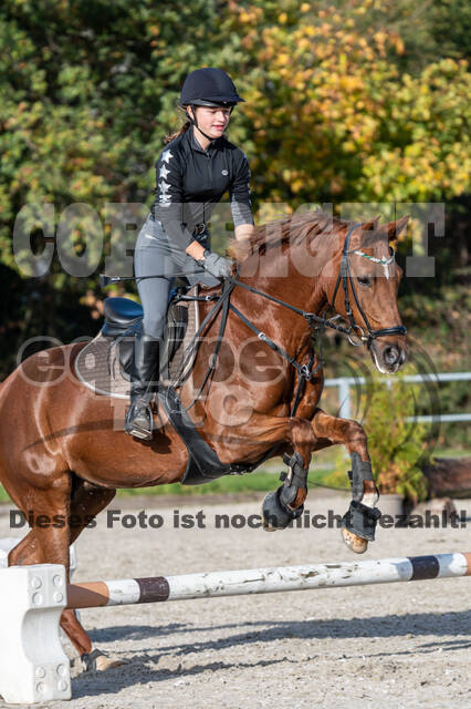 IGV Lehrgang der Sieger der Cups mit Frank Ostholt