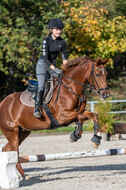 IGV Lehrgang der Sieger der Cups mit Frank Ostholt