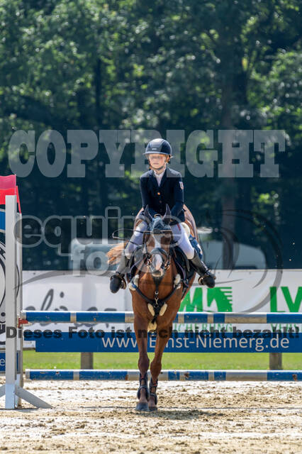 Goldene Schärpe 2021 - Ponys