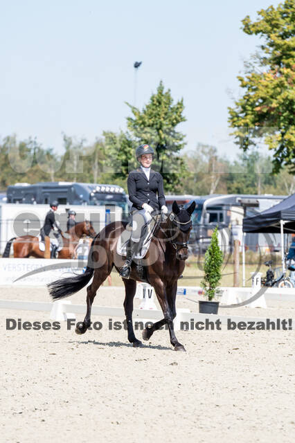 Kronenberg - De Peelbergen (August 2020)