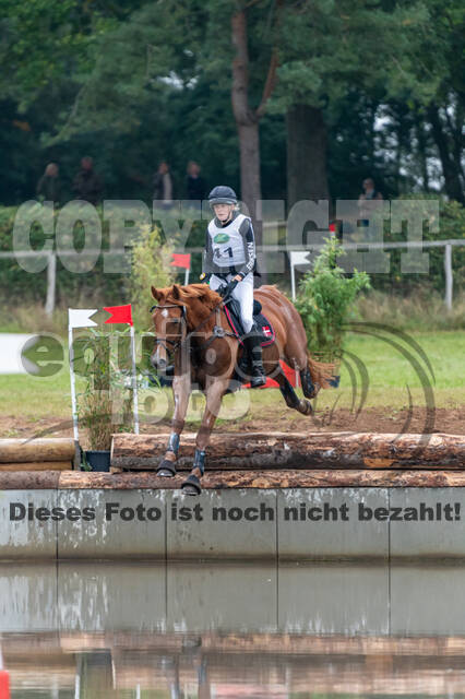 Deutsche Meisterschaft Vielseitigkeit (Luhmühlen)