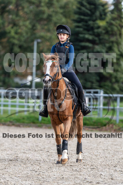 IGV Lehrgang der Sieger der Cups mit Frank Ostholt