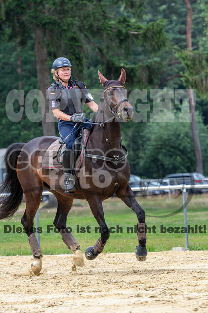 Hunter Geländetraining 10.07.2021 (Sonsbeck)