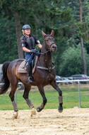 Hunter Geländetraining 10.07.2021 (Sonsbeck)