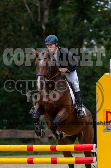 Vielseitigkeit RSV Wesel Obrighoven (26.+27.09.2020)