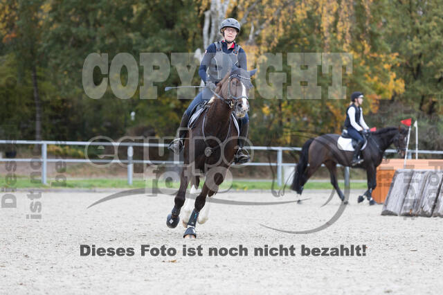 IGV Lehrgang der Sieger der Cups mit Frank Ostholt