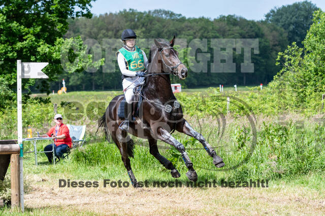 Westerstede Horse Trials (10.-13.06.2021)