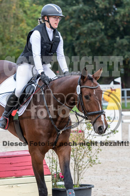 Goldene Schärpe 2020 - Pferde