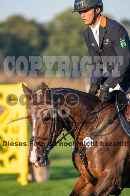 De Peelbergen (August 2020)