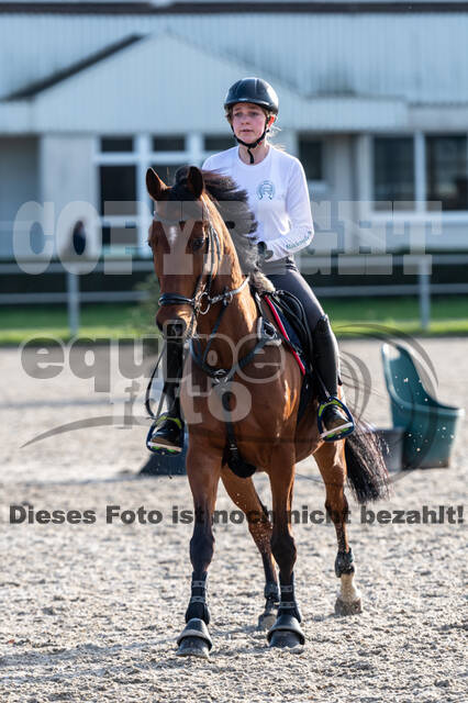 IGV Lehrgang der Sieger der Cups mit Frank Ostholt