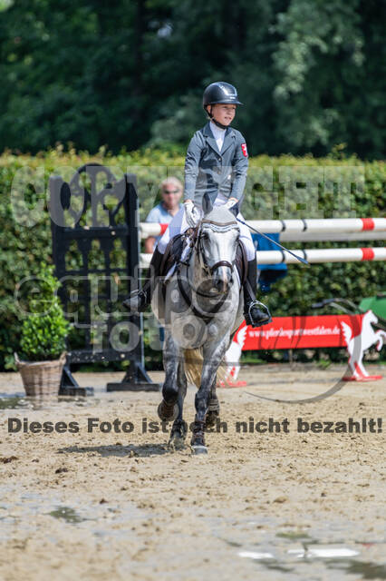 Goldene Schärpe 2021 - Ponys