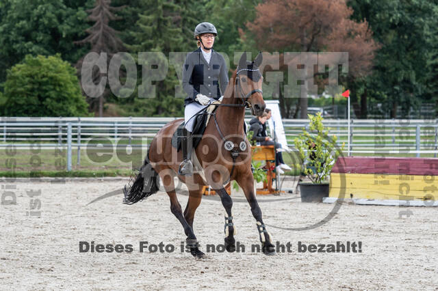 Late-Entry-Vielseitigkeit Langenfeld (06.+07.07.2020)