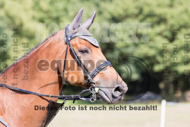 Vielseitigkeitsturnier RSV St. Hubertus Wesel Obrighoven