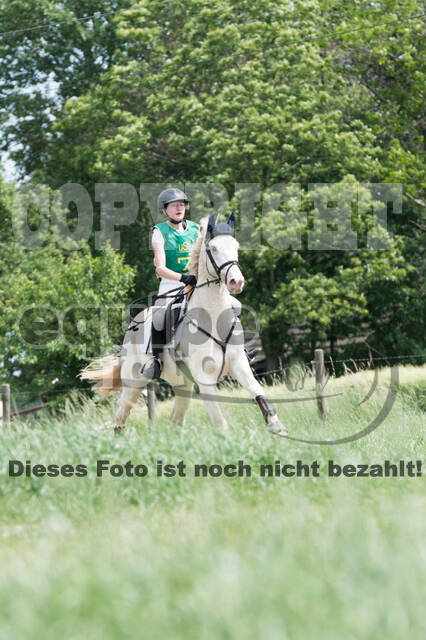 Vielseitigkeitsturnier ZRuFV von Lützow Hamminkeln