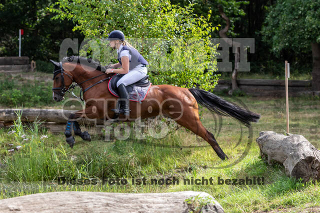 Late-Entry Vielseitigkeit Hamminkeln/Wesel (01.+02.08.2020)