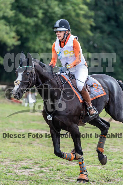 Vielseitigkeit RSV Wesel Obrighoven (26.+27.09.2020)