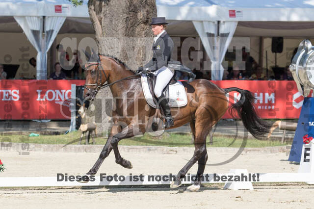 FEI European Championship Eventing 2017