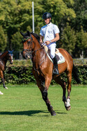 Kronenberg - De Peelbergen (August 2020)