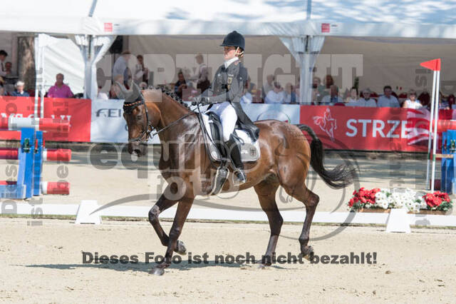 FEI European Championship Eventing 2017