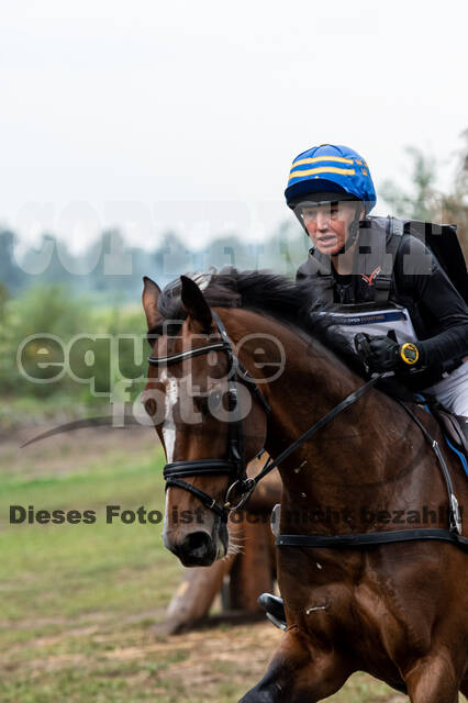 De Peelbergen (August 2020)