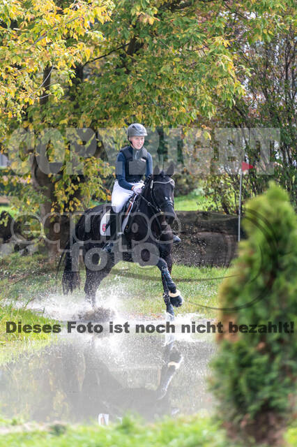 Goldene Schärpe 2020 - Pferde