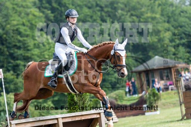 Goldene Schärpe 2021 - Ponys