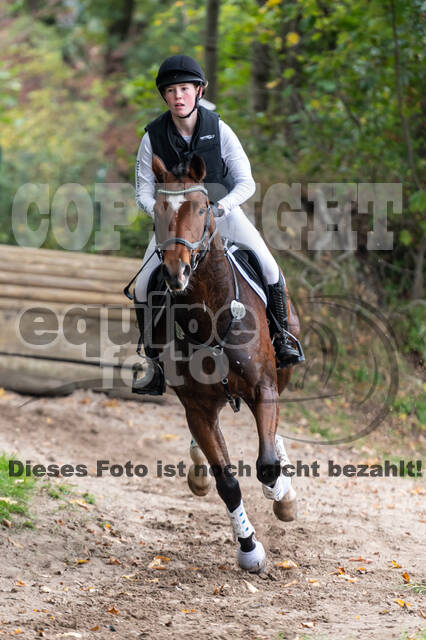 Goldene Schärpe 2020 - Pferde