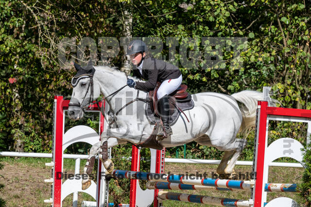 RFV Dinslaken-Hiesfeld (Herbstturnier)