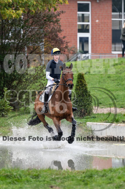 Goldene Schärpe 2020 - Pferde