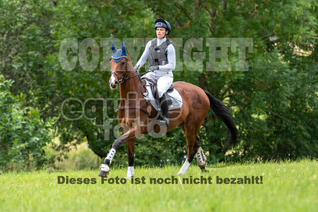 Bonn-Rodderberg Late-Entry-Vielseitigkeit (30.06.2020)