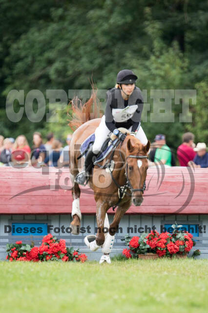 FEI European Championship Eventing 2017
