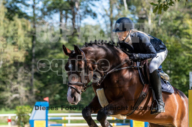 RFV Dinslaken-Hiesfeld (Herbstturnier)