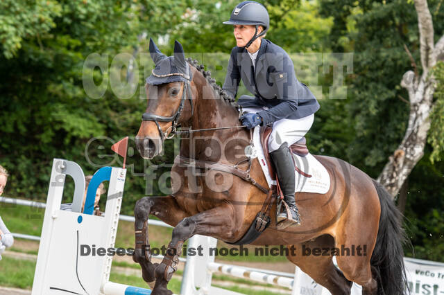 Late-Entry-Vielseitigkeit Langenfeld (06.+07.07.2020)