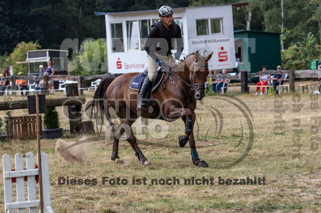 Late-Entry Vielseitigkeit Hamminkeln/Wesel (01.+02.08.2020)