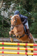 Vielseitigkeit RSV Wesel Obrighoven (26.+27.09.2020)
