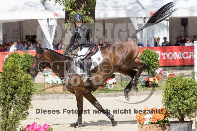 FEI European Championship Eventing 2017