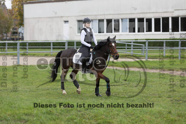 IGV Lehrgang der Sieger der Cups mit Frank Ostholt