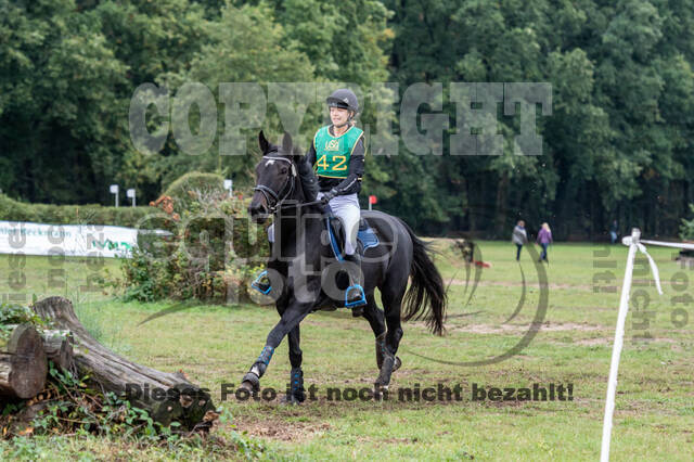 Vielseitigkeit RSV Wesel Obrighoven (26.+27.09.2020)