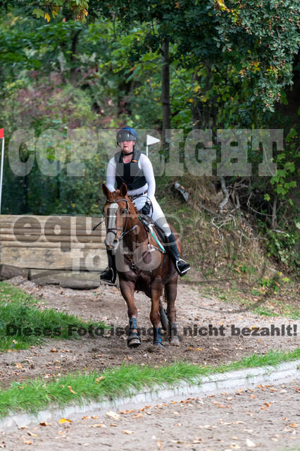Goldene Schärpe 2020 - Pferde