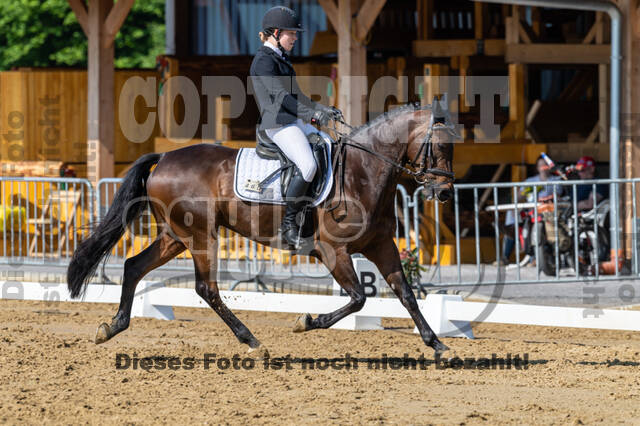 Westerstede Horse Trials 2021