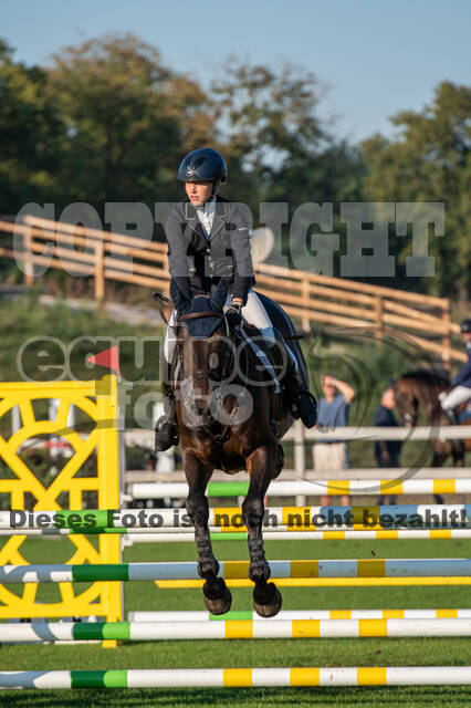 De Peelbergen (August 2020)