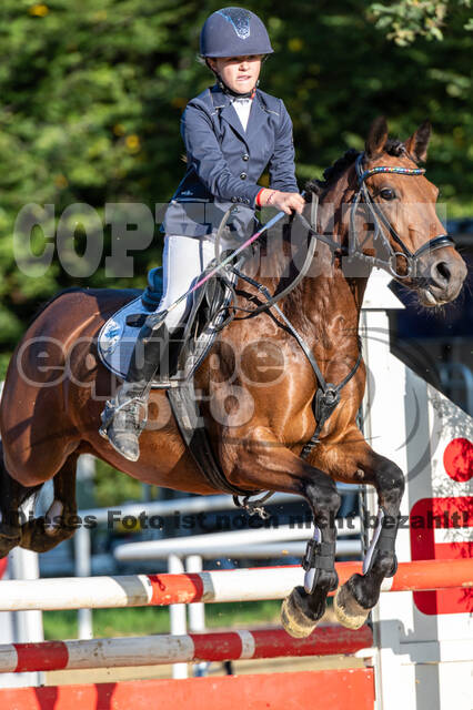 RFV Dinslaken-Hiesfeld (Herbstturnier)