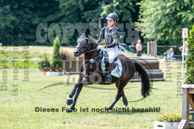 Goldene Schärpe 2021 - Ponys