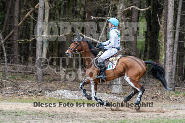 Kronenberg - De Peelbergen (02.04.2022)