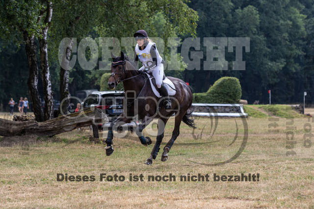 Late-Entry Vielseitigkeit Hamminkeln/Wesel (01.+02.08.2020)