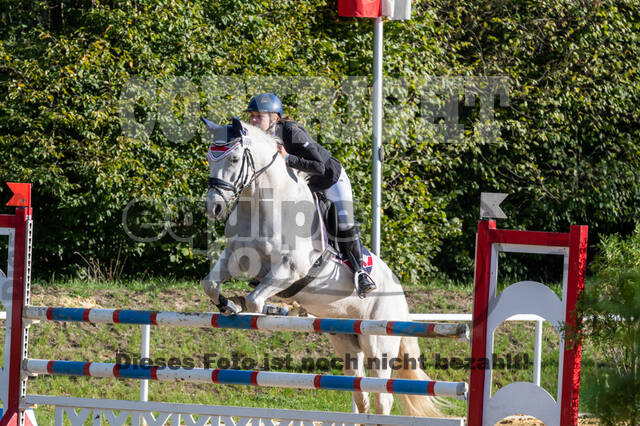 RFV Dinslaken-Hiesfeld (Herbstturnier)