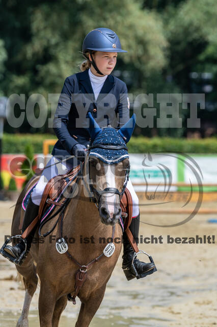 Goldene Schärpe 2021 - Ponys