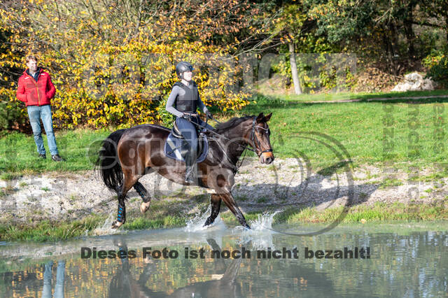 IGV Lehrgang der Sieger der Cups mit Frank Ostholt